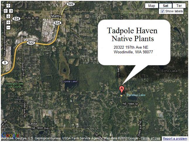 tadpole haven map
