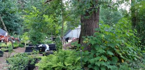 Screenshot_20170726bearatpottingbench